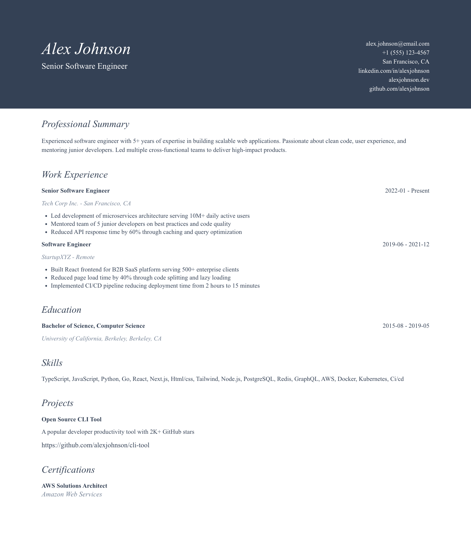 Academic Professional resume template preview