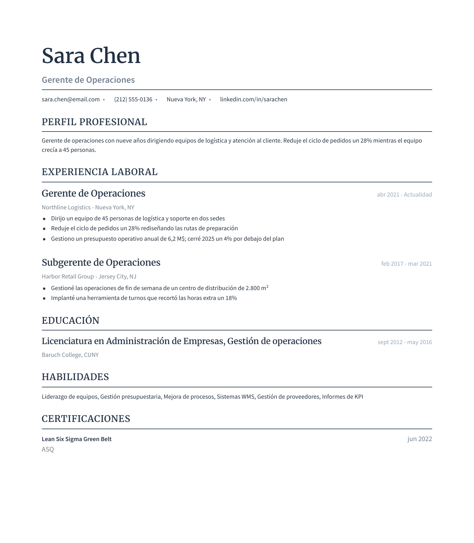 Plantilla de currículum clásica